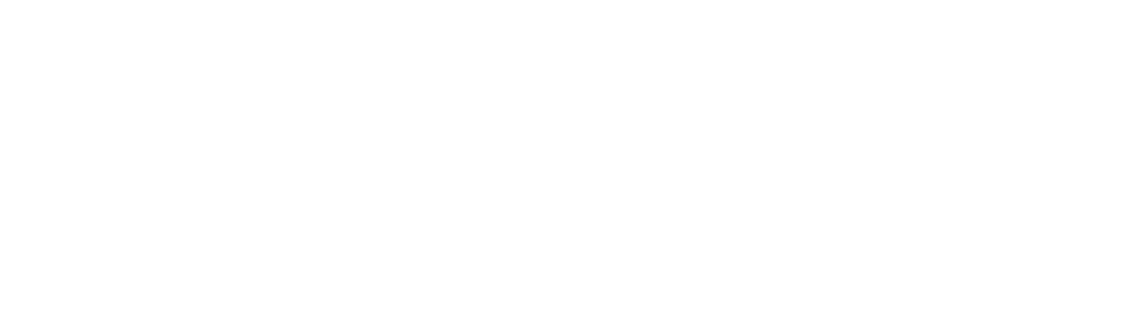 OpenPast